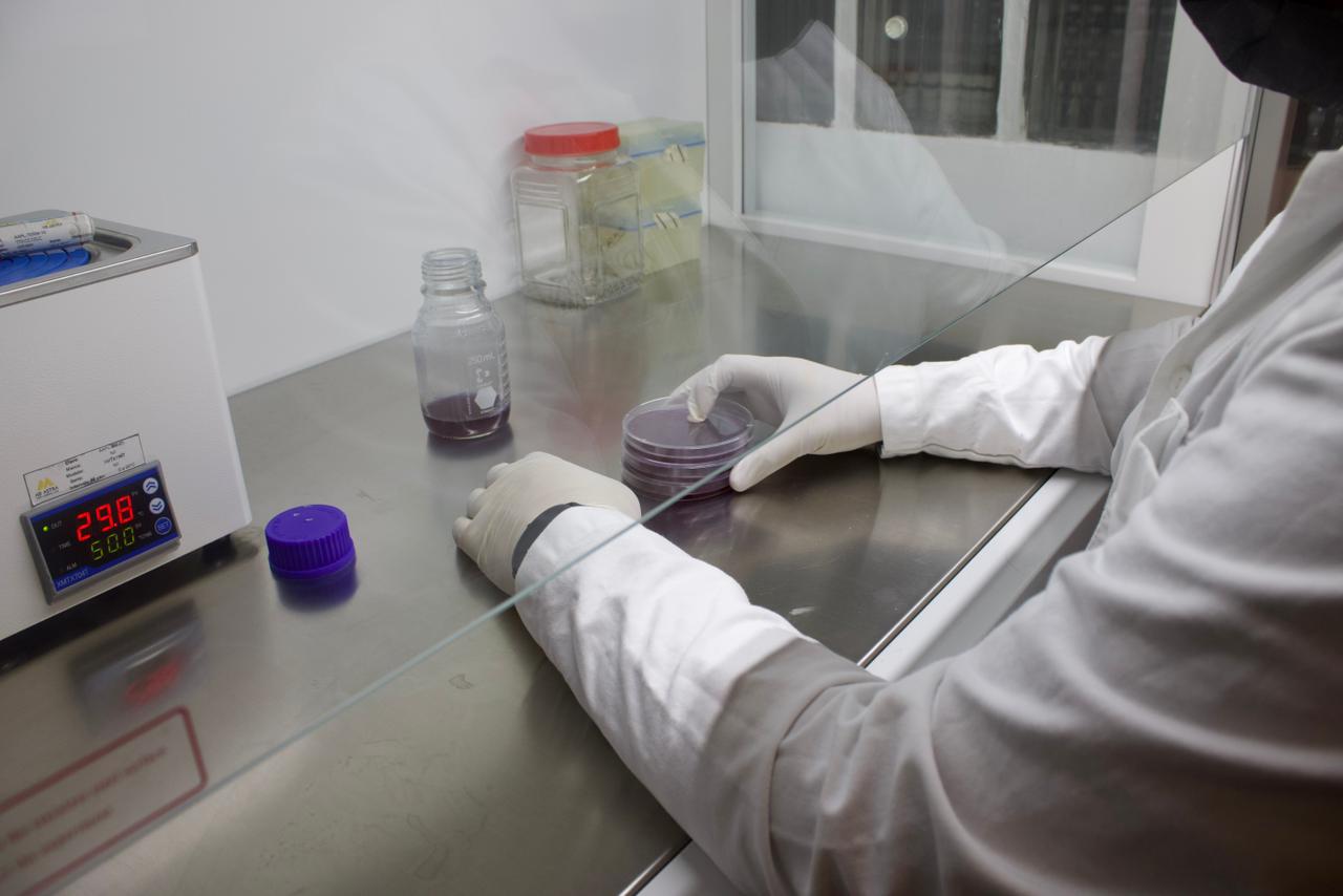Toxicología
